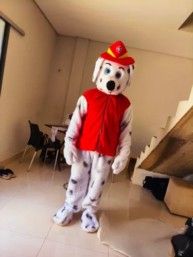 Fantasia patrulha canina