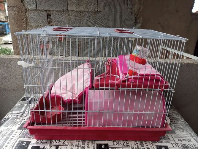 Gaiola porquinho da índia 