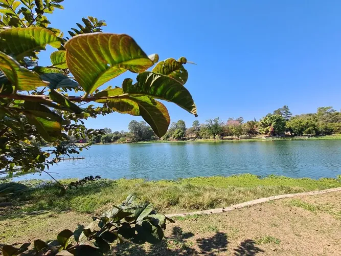 Chácara com 2 dormitórios à venda, 17400 m² por R$ 2.700.000 - Chácara Letônia - Americana