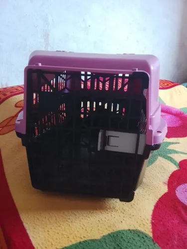 Vendo um transporte pet