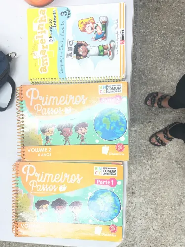 Livros pedagógico do professor educação infantil 
