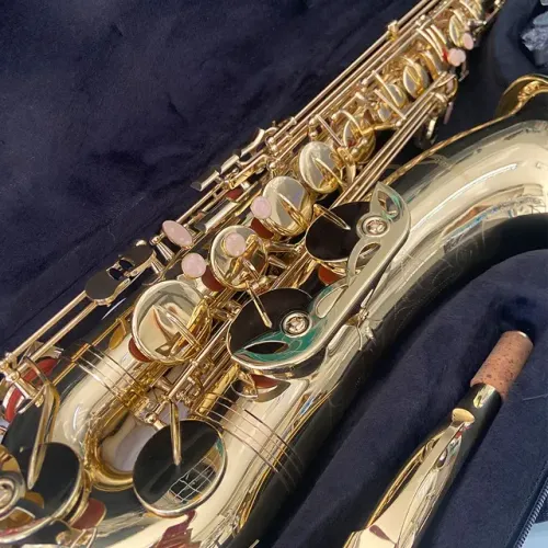 Sax Saxofone Tenor Shelter Sgft6435l ( Aceito Mac Mini)