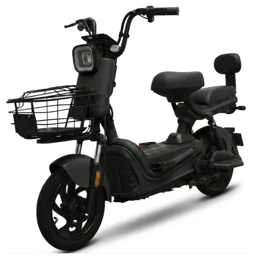 Moto Elétrica Tailg JK30 500W