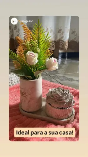 Vasos de gesso
