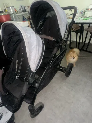 Carrinho de gêmeos 