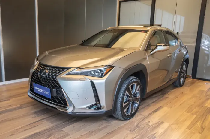 Lexus UX-250H Luxury 2.0 16V Aut.(hybrid) 2024