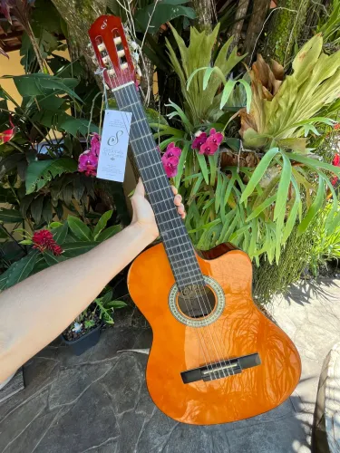 Violão Elétrico Giannini Nf-14 Start Flat Náilon 4/4