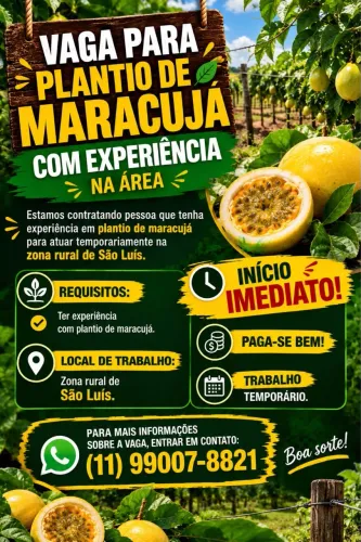 Trabalhardor com experiência em Plantio de Maracujá