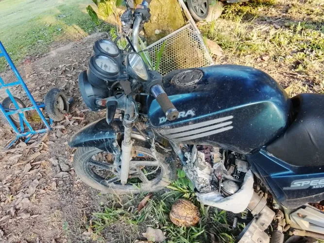 Dafra speed 150 motor batido