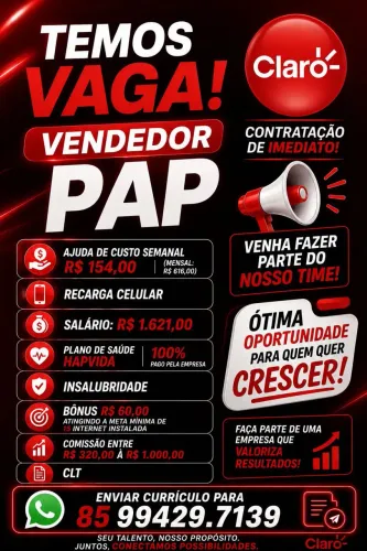 Vendedor PAP