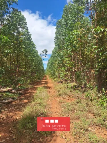 Fazenda para Venda em Belo Horizonte
