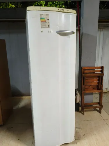 Freezer Eletrolux FFE24 