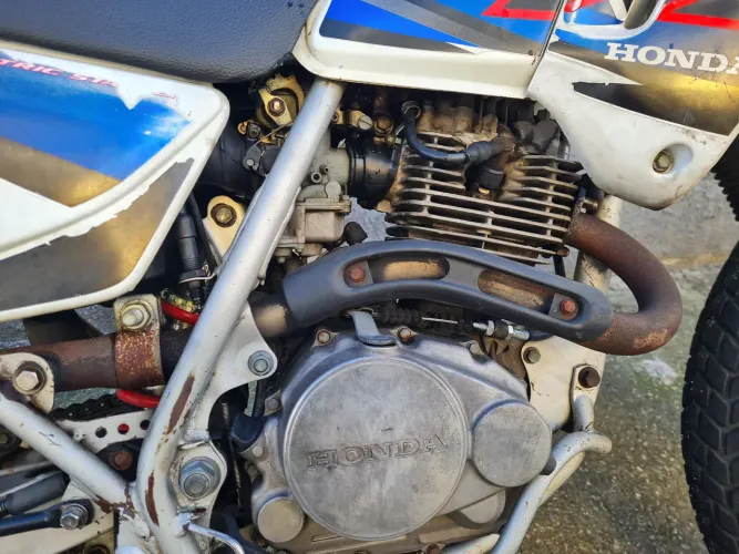Moto tem coisas pra fazer 