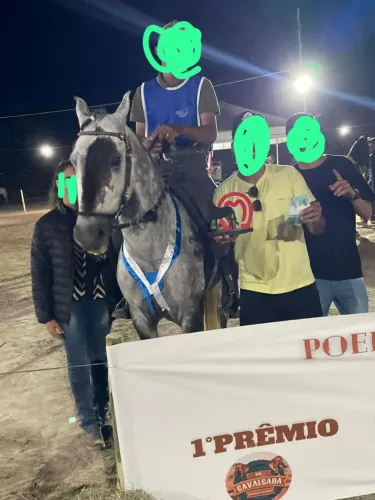 Vende-se cavalo macha batida pcom registro palhaço OMS 