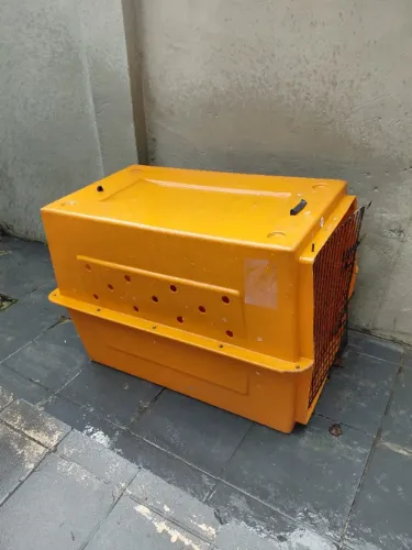 Caixa de transporte de cachorro 