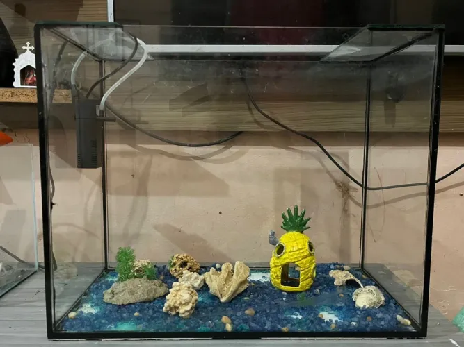 Vendo aquários 