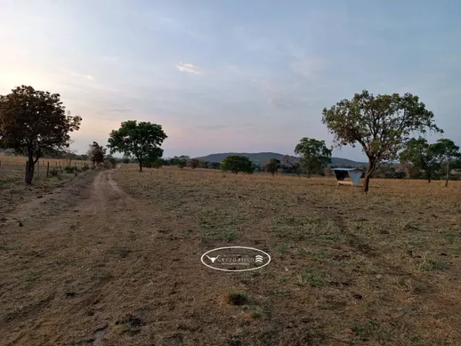Fazenda de Dupla Aptidão em Itapirapuã - GO | 75 Alqueires
