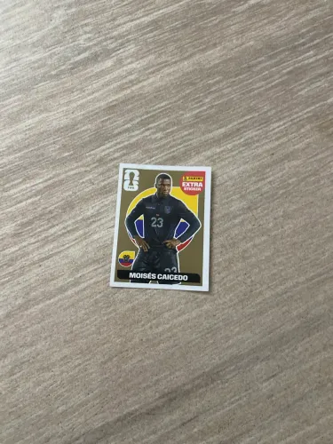 Moisés Caicedo,ouro,original