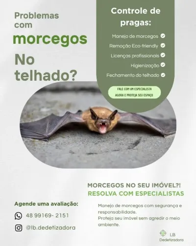 Manejo de Morcegos 