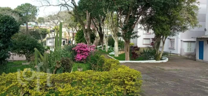 Apartamento à venda Rua Marechal Mesquita, Teresópolis - Porto Alegre
