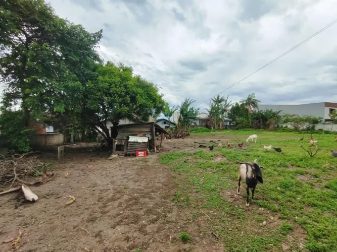 TERRENO no ITAJUBÁ II com 0 quartos para VENDA, 1782 m²