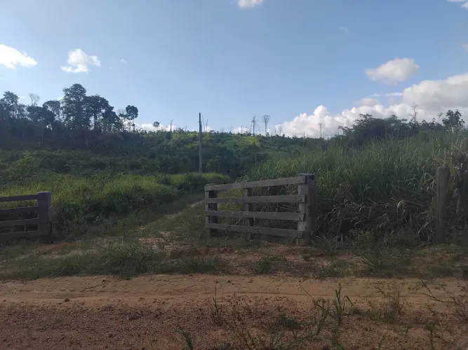 Terreno venda 100 hectares 