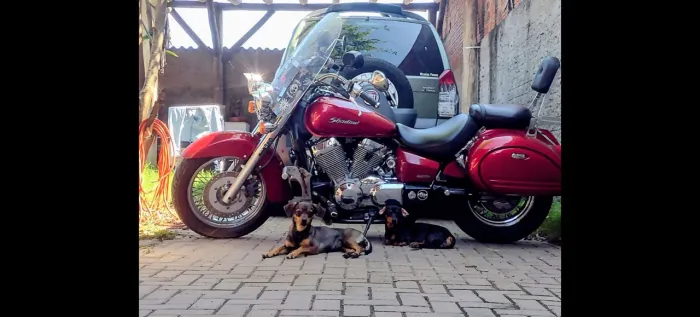 Raríssima 750cc