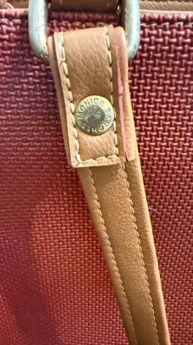Bolsa Mônica Sanches