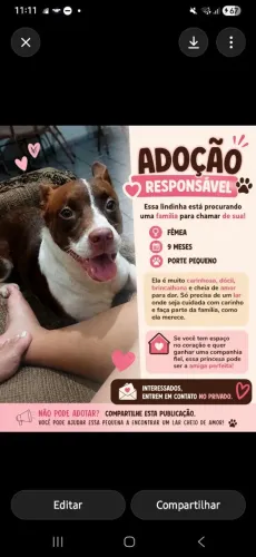Adote a Aurora