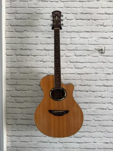 Violão APX 500
