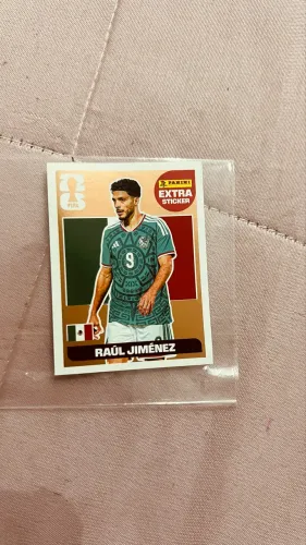 Raúl Jiménez - Bronze 
