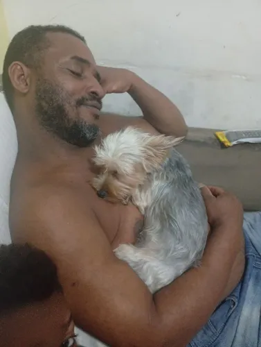Vendo uma cachorrinha yorkshire 