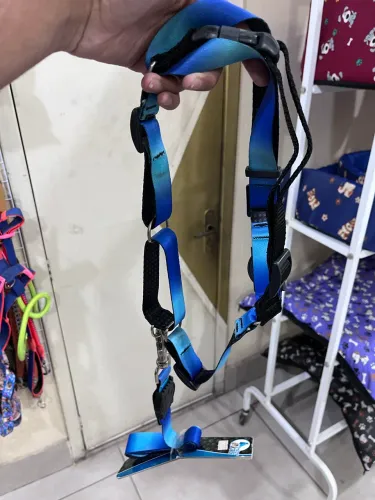 Coleira para cachorro