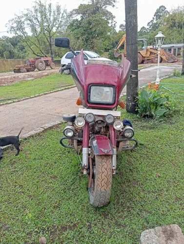 Amazonas a venda ,para restaurador 