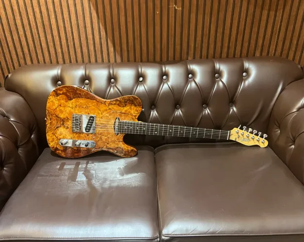 Guitarra Telecaster SGT