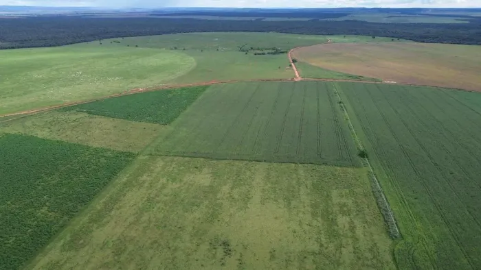 FAZENDA EM JUSSARA GO - 338 ALQUEIRES