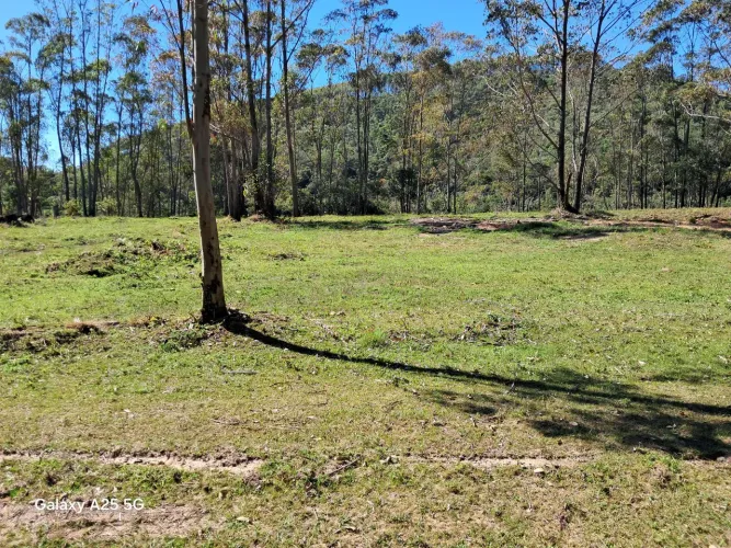 CHÁCARAS A VENDA NO CORAÇÃO DO PACAU POR 75.500, 00.