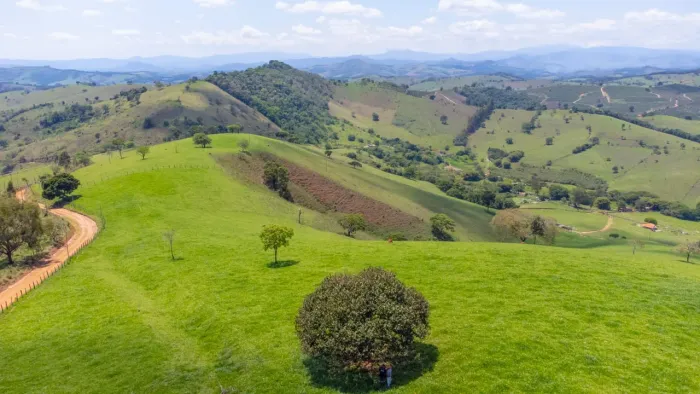 SITIO COM 35 HECTARES EM SÃO LOURENÇO MG