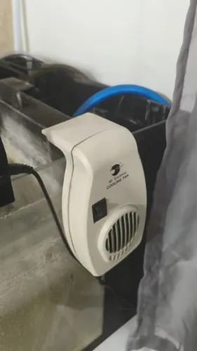 Cooling Fan