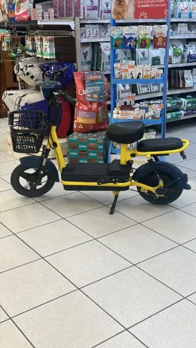 Bicicleta eletrica