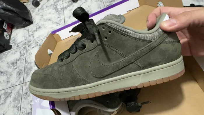 Nike dunk low pro B 
