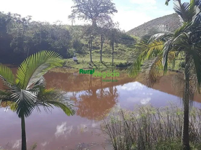 FAZENDA COM SEDE LUXUOSA Á VENDA EM QUELUZ-SP