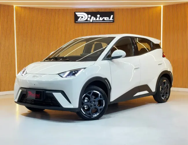 BYD Dolphin Mini (Elétrico) 2027