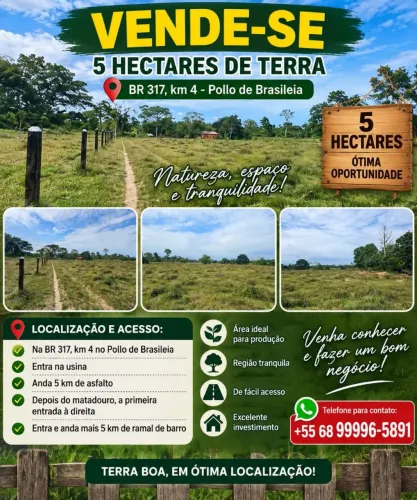 Chácara no Polo de brasileia, a 10 km da cidade