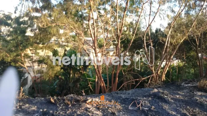Venda Lote-Área-Terreno Ana Lúcia (venda Nova) Belo Horizonte