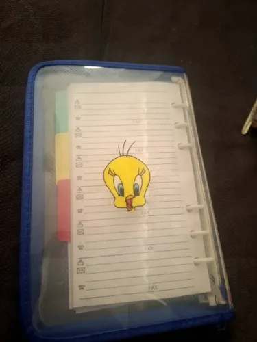 Fichario antigo para colecionador 