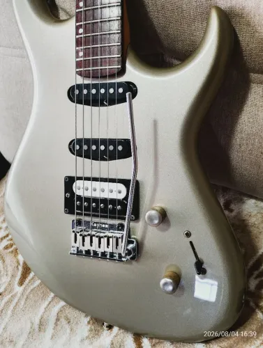 Guitarra cort g250
