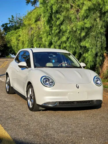 GWM Ora 03 Skin (elétrico) 2024