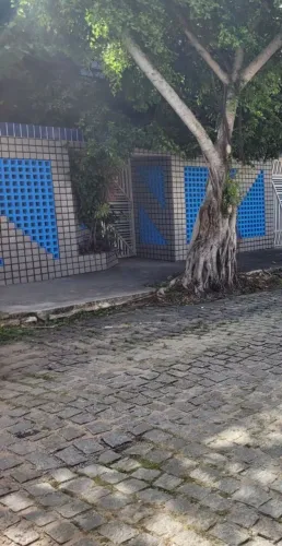 Pintura em excelência, profissional limpo