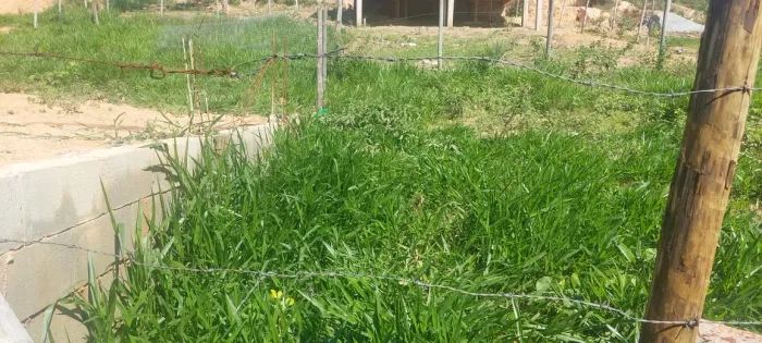 Lote top ? em Santa Luzia ..não é na invasão